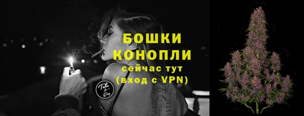 спайс Медногорск