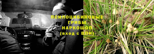 a pvp Мегион