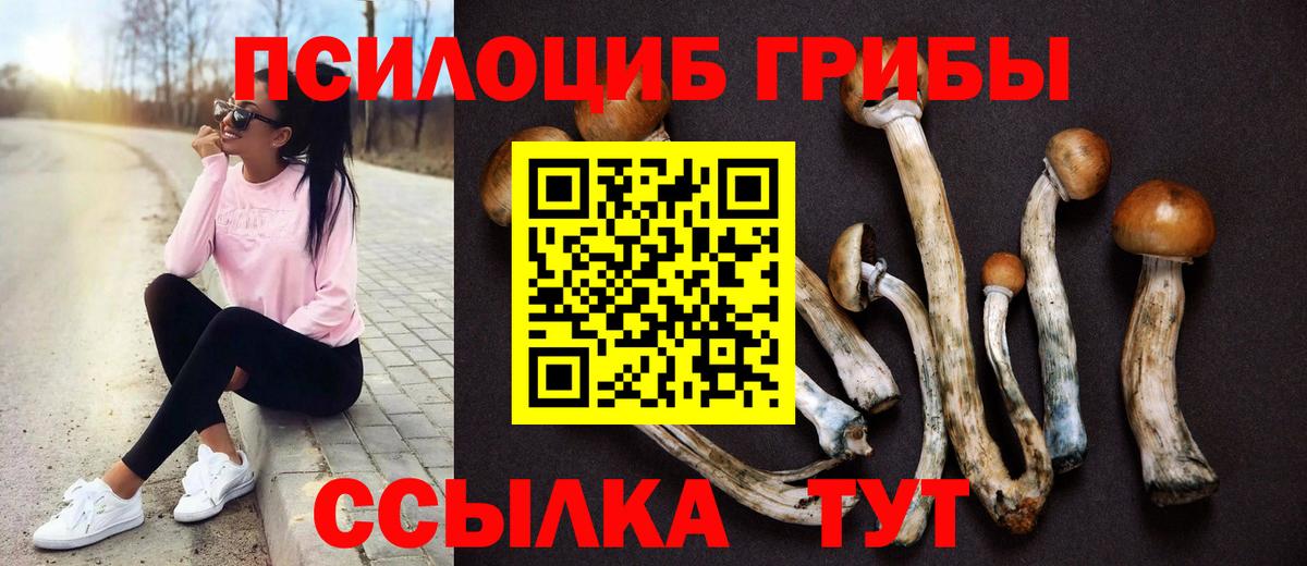 Псилоцибиновые грибы Cubensis  Вход с VPN  Нарткала 