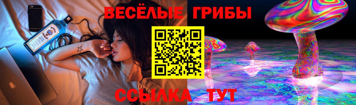 Галлюциногенные грибы Psilocybe Нарткала